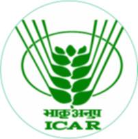 ICAR NIAP Recruitment 2023 Vacancies for Associate, other Posts