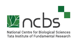 National Centre for Biological Sciences Recruitment logo