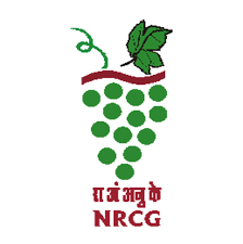 National Research Centre For Grapes Recruitment 2023 Young Professional II Post